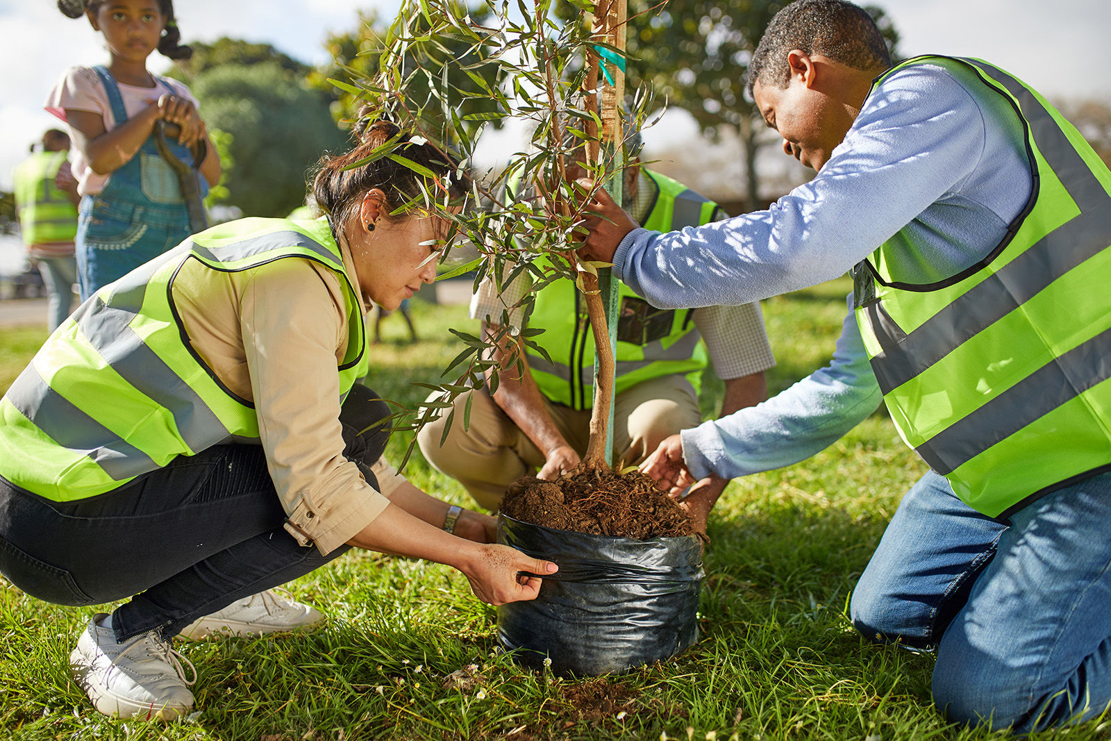 Plant a tree
